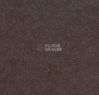 Линолеум Forbo Marmoleum Solid Cocoa 3581-358135 dark chocolate фото 1 | FLOORDEALER